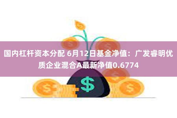 国内杠杆资本分配 6月12日基金净值：广发睿明优质企业混合A最新净值0.6774