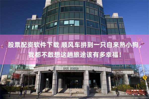 股票配资软件下载 顺风车拼到一只自来熟小狗，我都不敢想这趟旅途该有多幸福！