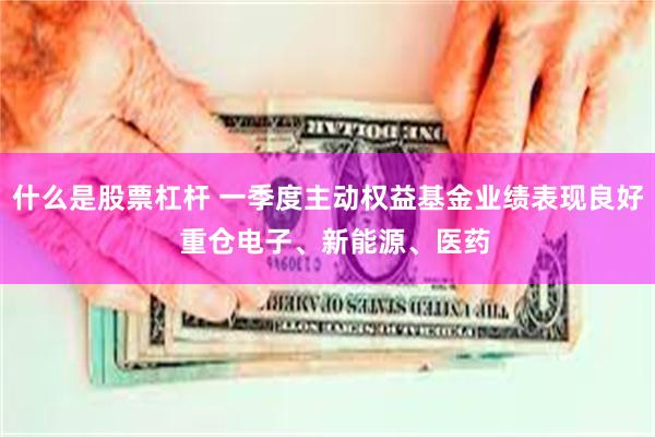 什么是股票杠杆 一季度主动权益基金业绩表现良好  重仓电子、新能源、医药