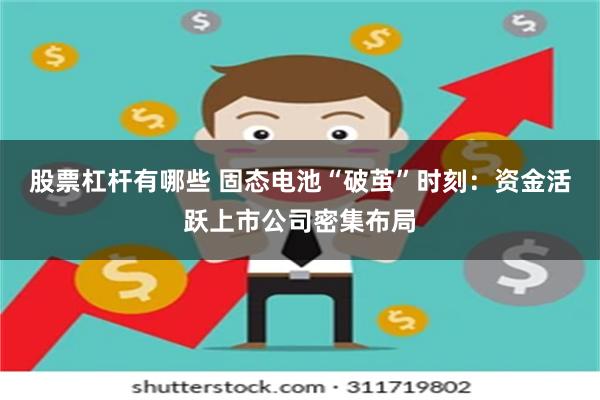股票杠杆有哪些 固态电池“破茧”时刻：资金活跃上市公司密集布局