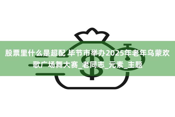 股票里什么是超配 毕节市举办2025年老年乌蒙欢歌广场舞大赛_老同志_元素_主题