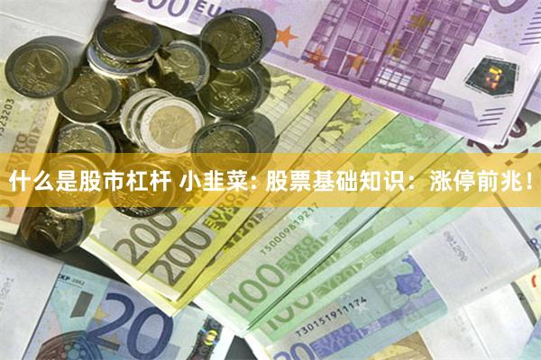 什么是股市杠杆 小韭菜: 股票基础知识：涨停前兆！